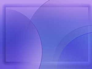 市场情报价格对比：性价比最高的选择