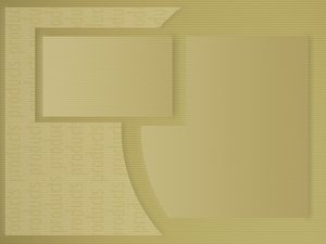 市场情报